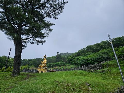 2024 놓치지 말아야할 ‘여름’ 제주관광 <햇빛 찬란한 제주의 여름, 푸른빛 추억 만들러 떠나볼까?> 리뷰사진3