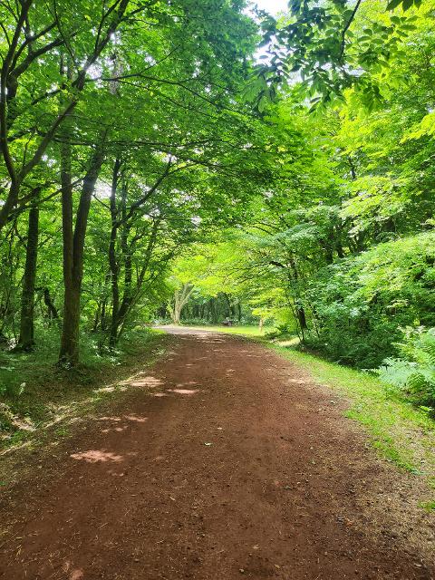 그래도 제주! 제주도 버킷리스트 댓글 이벤트