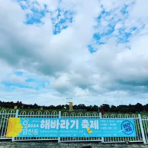 [5(Oh!)my jeju 캠페인 이벤트-축제·행사편] 제주 축제행사를 칭찬해