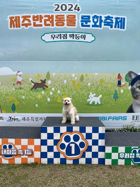 [5(Oh!)my jeju 캠페인 이벤트-축제·행사편] 제주 축제행사를 칭찬해