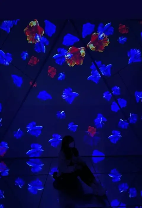 [5(Oh!)my jeju 캠페인 이벤트-축제·행사편] 제주 축제행사를 칭찬해