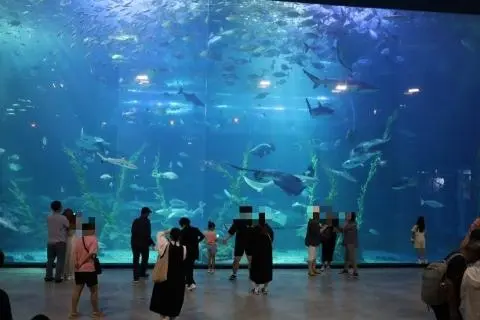 [5(Oh!)my jeju 캠페인 이벤트-축제·행사편] 제주 축제행사를 칭찬해