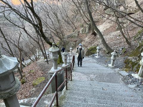 [5(Oh!)my jeju 캠페인 이벤트-외식업편] 제주 음식점을 칭찬해