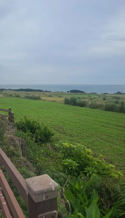 [5(Oh!)my jeju 캠페인 이벤트-축제·행사편] 제주 축제행사를 칭찬해