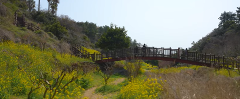 [5(Oh!)my jeju 캠페인 이벤트-축제·행사편] 제주 축제행사를 칭찬해