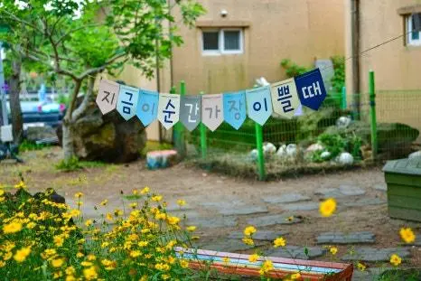 [5(Oh!)my jeju 캠페인 이벤트-축제·행사편] 제주 축제행사를 칭찬해