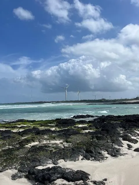 [5(Oh!)my jeju 캠페인 이벤트-축제·행사편] 제주 축제행사를 칭찬해