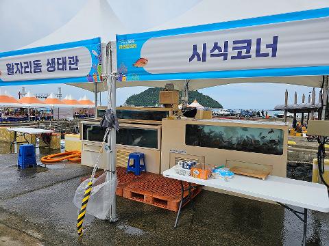 [5(Oh!)my jeju 캠페인 이벤트-축제·행사편] 제주 축제행사를 칭찬해