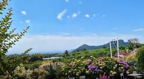 [5(Oh!)my jeju 캠페인 이벤트-축제·행사편] 제주 축제행사를 칭찬해