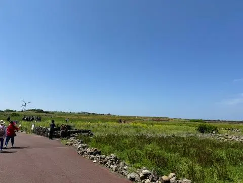 [5(Oh!)my jeju 캠페인 이벤트-축제·행사편] 제주 축제행사를 칭찬해