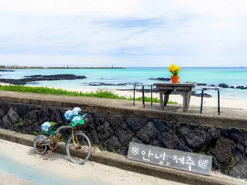 세화해변 대표이미지