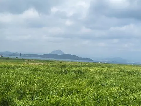그래도 제주! 제주도 버킷리스트 댓글 이벤트