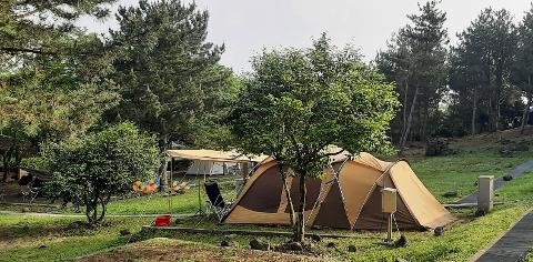 그래도 제주! 제주도 버킷리스트 댓글 이벤트