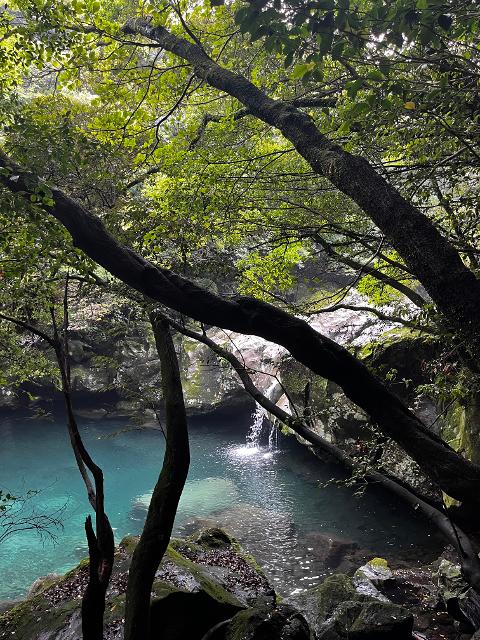 그래도 제주! 제주도 버킷리스트 댓글 이벤트