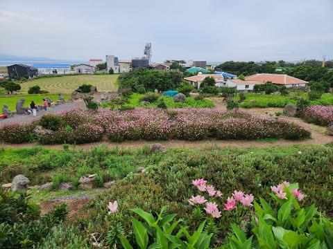 그래도 제주! 제주도 버킷리스트 댓글 이벤트