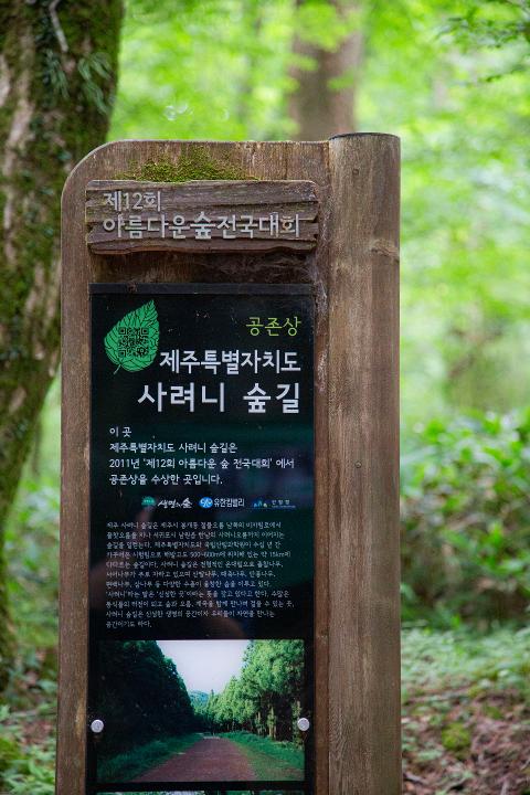 Saryeoni Forest Path 대표이미지