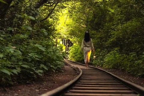 2024秋のおすすめ済州観光 < そよそよ銀色に輝く秋 燦燦と楽しみに済州へ旅立とう！> 대표이미지