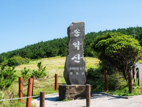 송악산둘레길 대표이미지