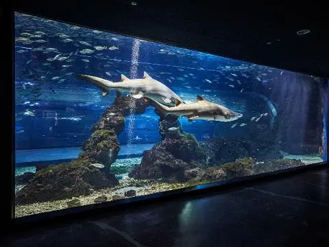 Visit Jeju : アクアプラネット・チェジュ