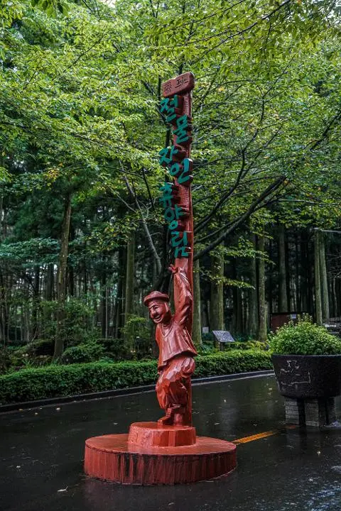 Jeju Jeolmul Natural Recreation Forest 대표이미지