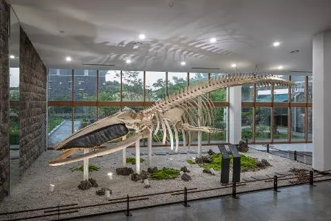 민속자연사박물관 40주년 <박물관 가족 대축전> 대표이미지