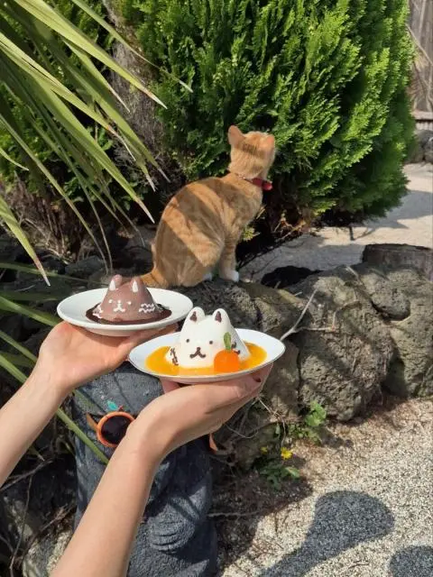 Caferi 대표이미지