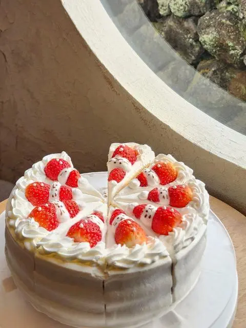 카페리(CAFERI) 사진