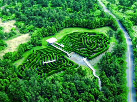 金寧迷宮公園 대표이미지