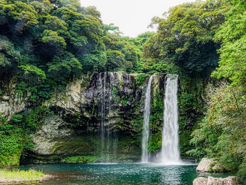 Cheonjiyeon Falls 대표이미지