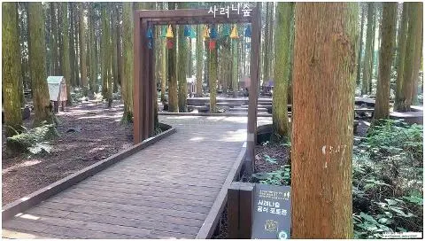 <추석에 제주에서 뭐하니?> 제주여행 댓글 이벤트(~9.30)