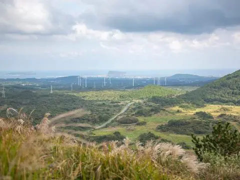 Baekyaki Oreum Volcanic Cone 대표이미지