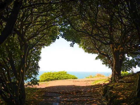 도두봉 대표이미지