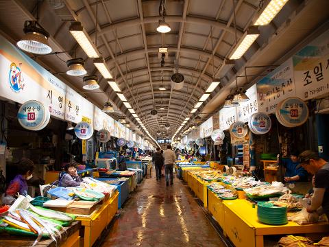 Jeju Dongmun Traditional Market 대표이미지