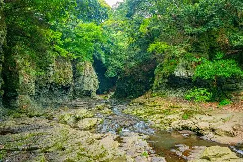 안덕계곡 대표이미지