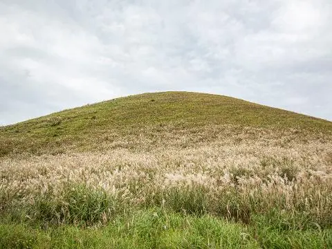 Saebyeol Oreum Volcanic Cone 대표이미지