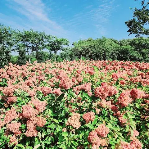 제주동화마을 리뷰사진4