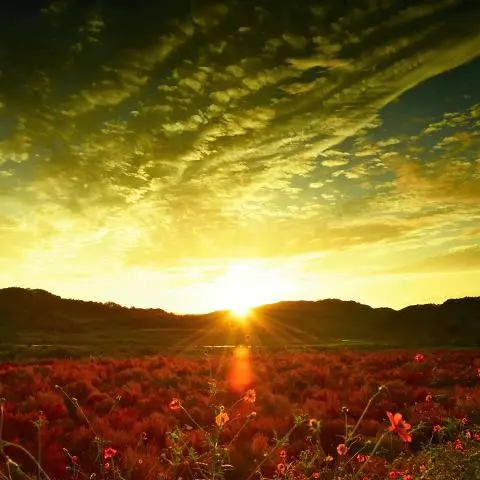 비짓제주, 유퀴즈? 정답 맞추기 이벤트