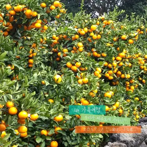 비짓제주, 유퀴즈? 정답 맞추기 이벤트