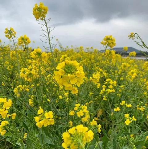 비짓제주, 유퀴즈? 정답 맞추기 이벤트
