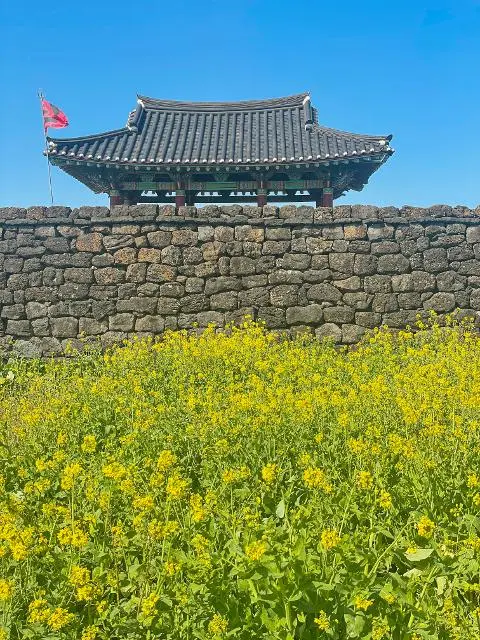 비짓제주, 유퀴즈? 정답 맞추기 이벤트