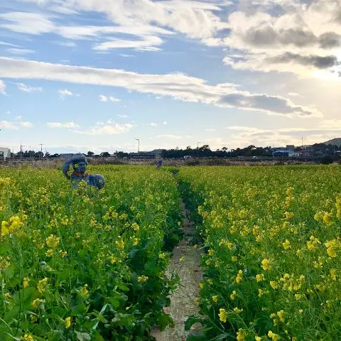 비짓제주, 유퀴즈? 정답 맞추기 이벤트
