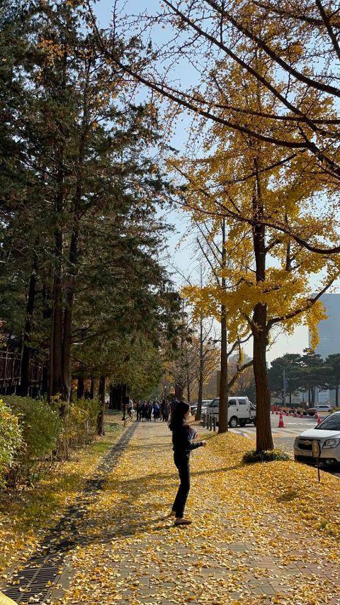 비짓제주, 유퀴즈? 정답 맞히기 이벤트