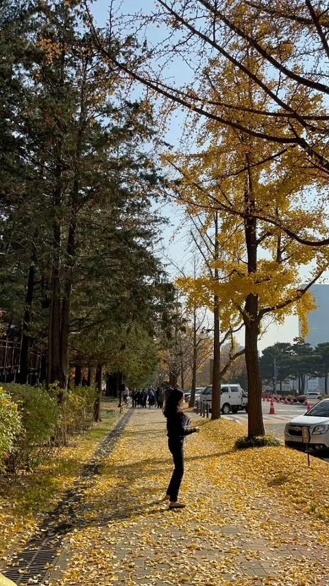 비짓제주, 유퀴즈? 정답 맞히기 이벤트