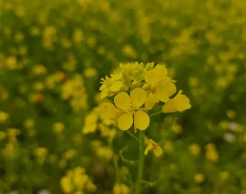 비짓제주, 유퀴즈? 정답 맞히기 이벤트