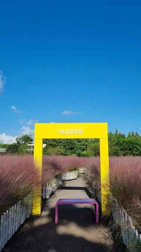 초성 퀴즈 이벤트 <제주의 핑크빛 가을을 찾아라!>