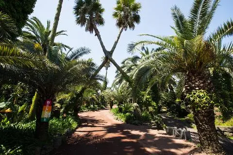 Our youth is just beginning now – ⑧ An emotional journey to Hallim and Aewol, where memories sparkle! 대표이미지