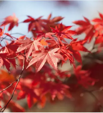비짓제주, 유퀴즈? 정답 맞히기 이벤트