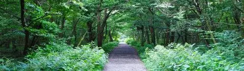 Our youth is just beginning now – ① Shall we head to Jeju City and Jocheon, where we can blend into the swaying nature?!? 대표이미지