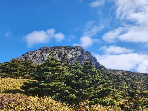 비짓제주, 유퀴즈? 정답 맞히기 이벤트
