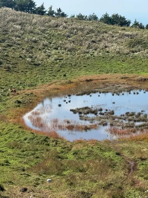 제주서쪽 가을여행 가볼만한 곳 코스추천 대표이미지